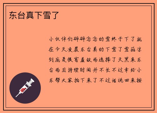 东台真下雪了