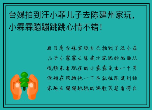 台媒拍到汪小菲儿子去陈建州家玩，小霖霖蹦蹦跳跳心情不错！