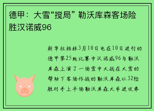 德甲：大雪“搅局” 勒沃库森客场险胜汉诺威96