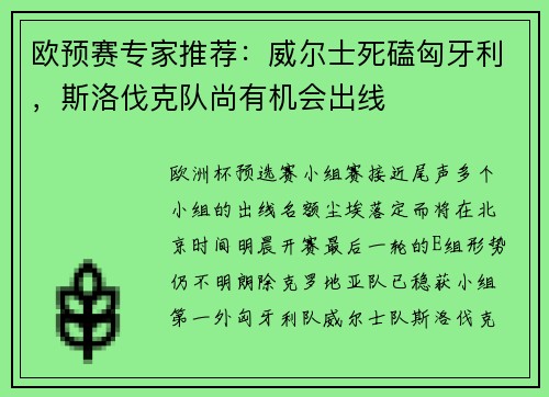 欧预赛专家推荐：威尔士死磕匈牙利，斯洛伐克队尚有机会出线